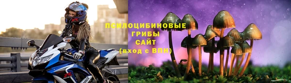 бутират Алзамай