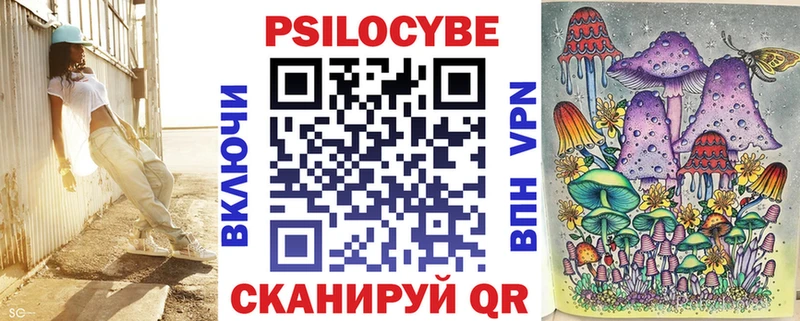 сколько стоит  Чишмы  Псилоцибиновые грибы Psilocybe 